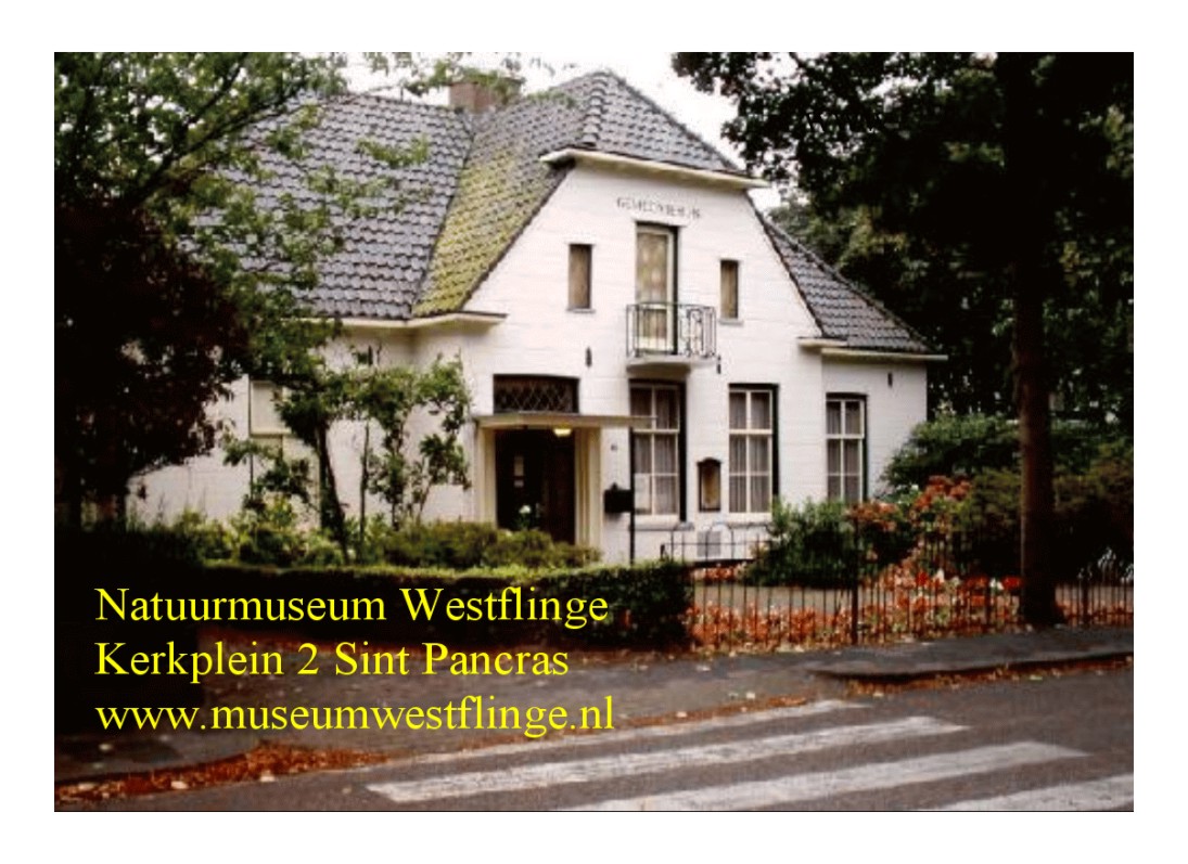 Opening Museumjaar 2011 Natuurmuseum Westflinge door Aris Bouwens