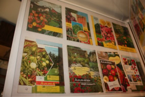 Oude catalogi