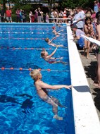 Schoolzwemkampioenschap in Zwembad de Bever 