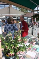 Interview met Cees Pranger van fuchsiavereniging Noord-Holland Noord