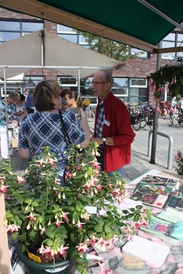 Interview met Cees Pranger van fuchsiavereniging Noord-Holland Noord