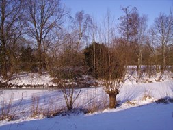 De kruidentuin van Hortus Naturalis in februari 2012 (foto aangeleverd)