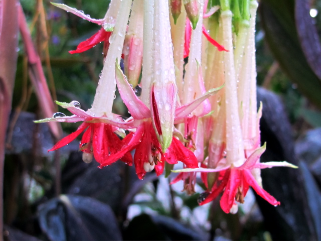 Rouwcafé Sint Pancras organiseert kringgesprekken over diverse thema’s