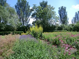 Hortus Naturalis wordt feestelijk geopend (foto www.hortusnaturalis.nl)