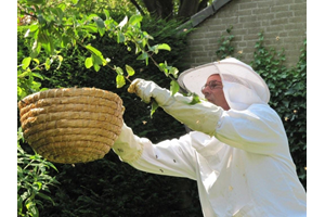 14 en 15 juli bijenweekend in de Hortus Naturalis
