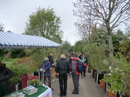 Nazomerdag bij Hortus Naturalis