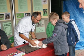 Kinderen kunnen hun dieren laten zien aan de dierenarts, op 7 oktober bij kinderboerderij Jong Leven