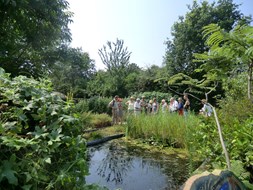 VSM Hortus Voorjaarsexperience (foto Hortus Alkmaar)