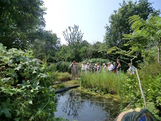 VSM Hortus Voorjaarsexperience (foto Hortus Alkmaar)