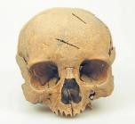 Lezing over de Slag bij Vronen 