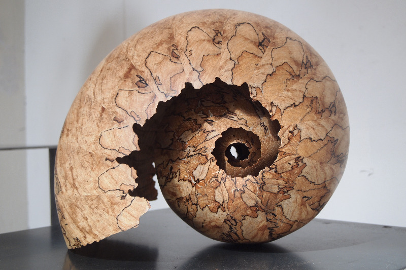 Aurora Art Gallery opent eerste expositie op 21 april