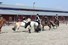 Voetballen met paarden bij Manege Beukers tijdens Noordranddag 2013