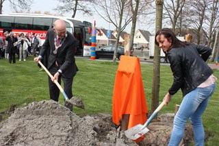 Koningslinde geplant in Broek op Langedijk
