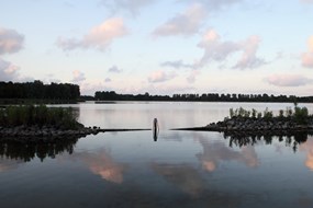 Schaapscheerdag in ’t Geestmerambacht