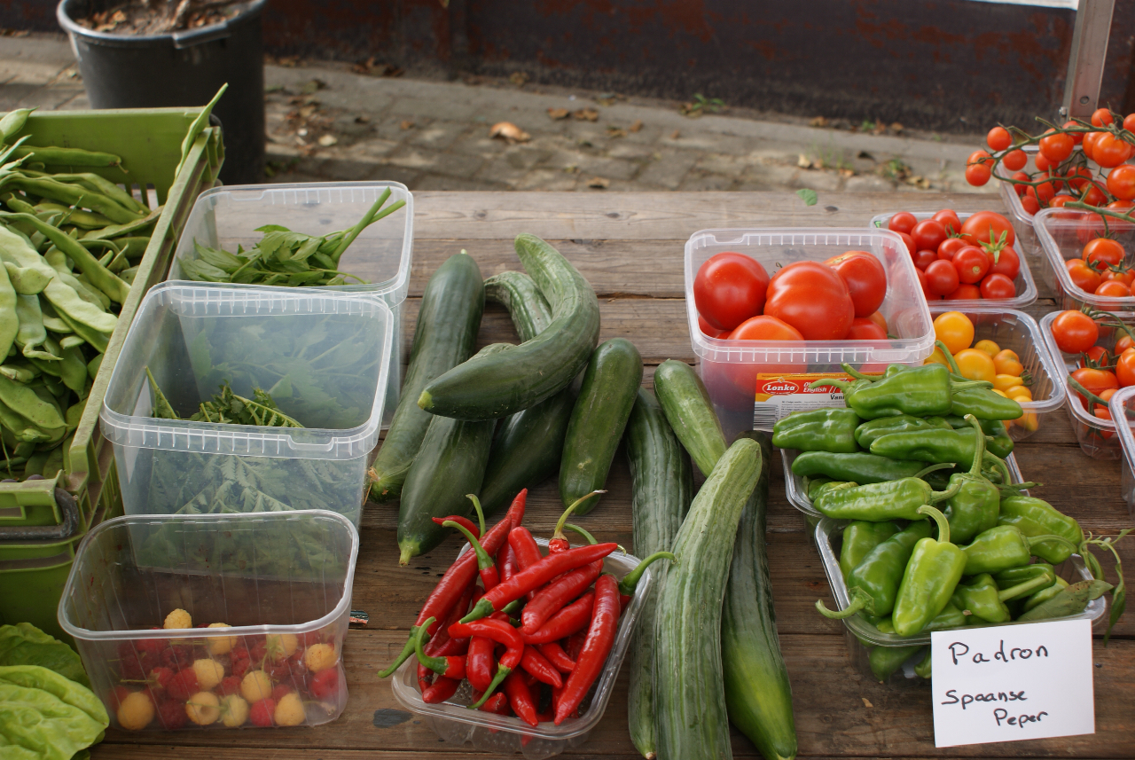 Oogstdag in Sint Pancras