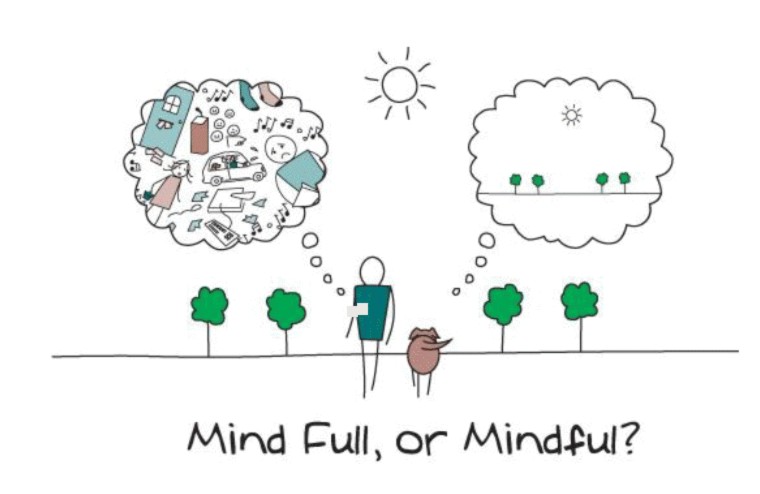 Mind Full of mindful?