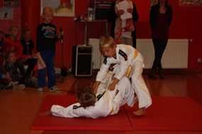 Demonstratie judo
