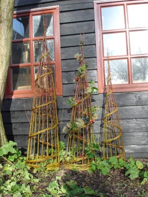 Kerstworkshops bij Hortus Alkmaar (Alternatieve kerstboom)