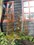 Kerstworkshops bij Hortus Alkmaar (Alternatieve kerstboom)