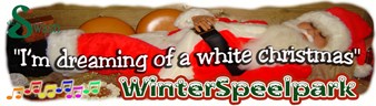 Winterspeelpark de Swaan geopend in de kerstvakantie