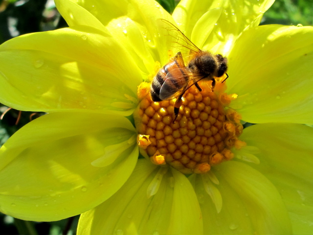 Ontspanningsmeditatie avond bij Erna Vader Energiecoach