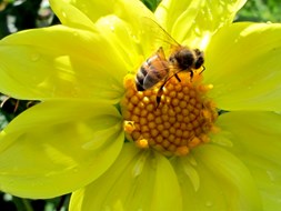 Ontspanningsmeditatie avond bij Erna Vader Energycoach