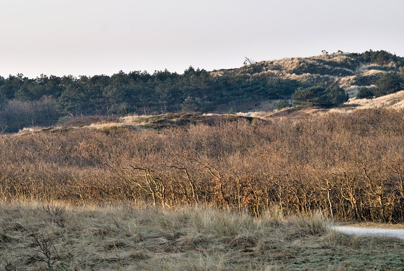 Stiltewandeling met Erna Vader Energycoach