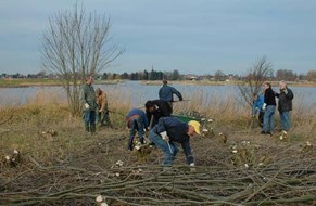 Bomenkap in het Oosterdelgebied op eilandjes van St. Veldzorg