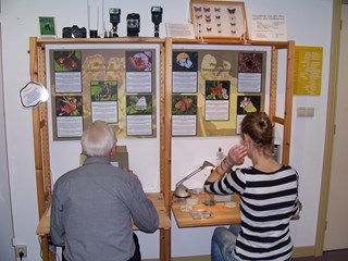 Museumweekend in Natuurmuseum Westflinge