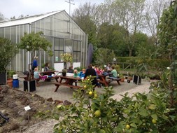 Kinderworkshop minituintje maken bij Hortus Alkmaar