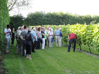 High Wine bij Wijndomein de Koen