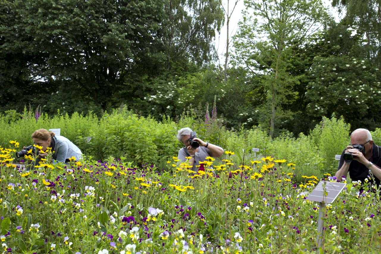 Cursus natuurfotografie in Hortus Alkmaar