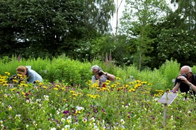 Cursus Natuurfotografie bij Hortus Alkmaar