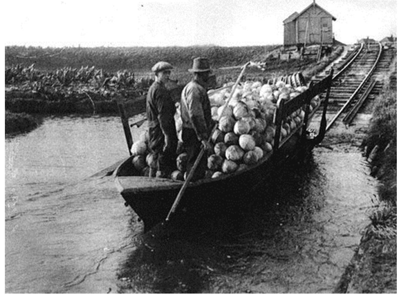Historisch Café in Bibliotheek Langedijk