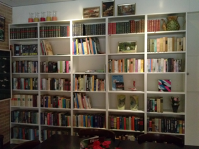 De Boekenkast in Dorpshuis de Geist