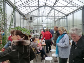 Workshop Chi Neng Qigong bij Hortus Alkmaar