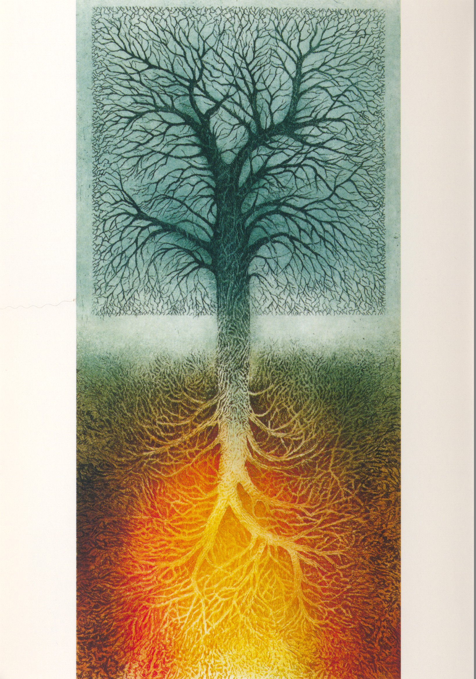 Ode aan de kwetsbaarheid