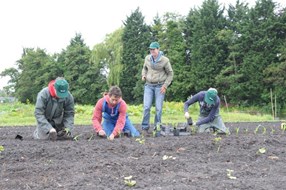 Zelf biologische groente verbouwen in het Oosterdelgebied (foto Veldzorg)