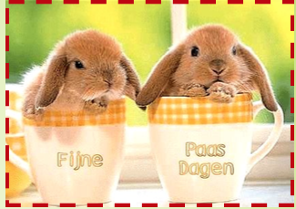 Vrouwenactiviteiten in april bij Wonen Plus Welzijn