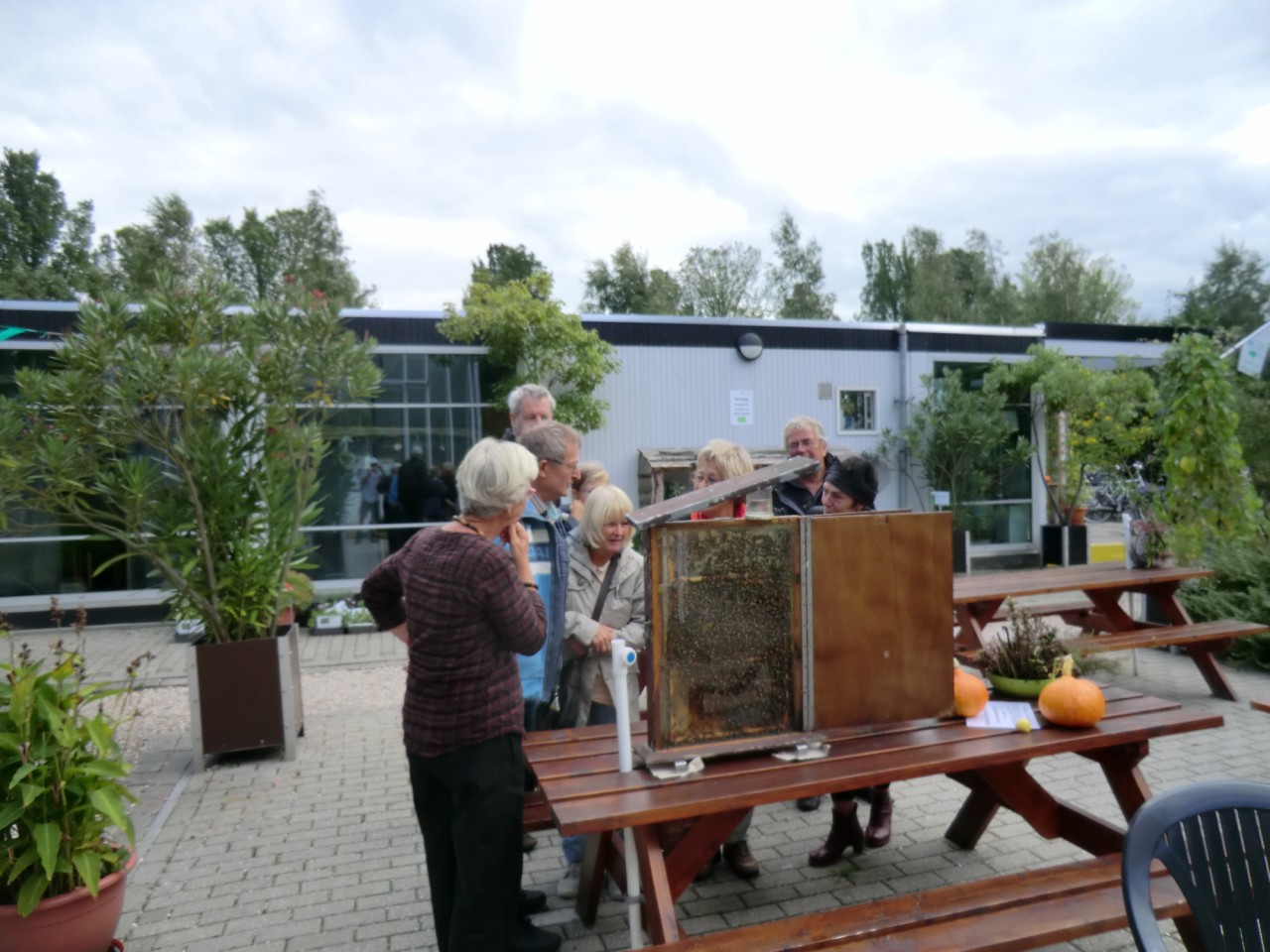 Bijenavond in Hortus Alkmaar