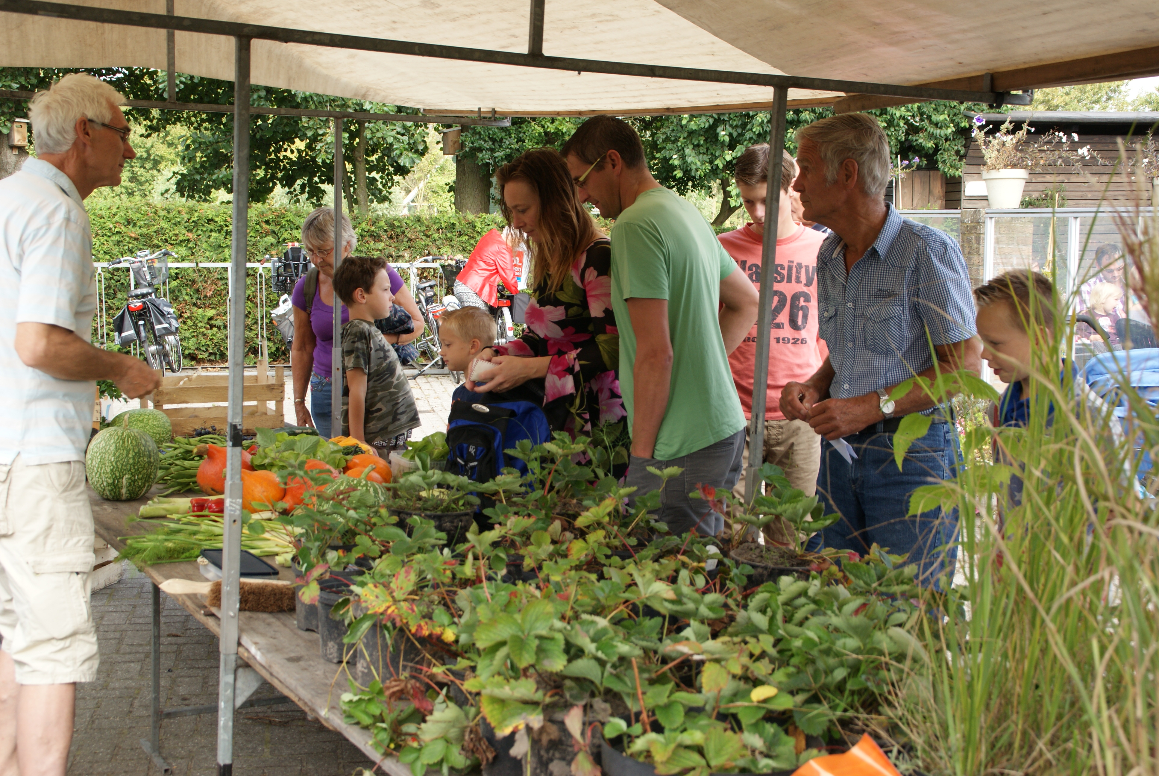 Oogstdag in Sint Pancras