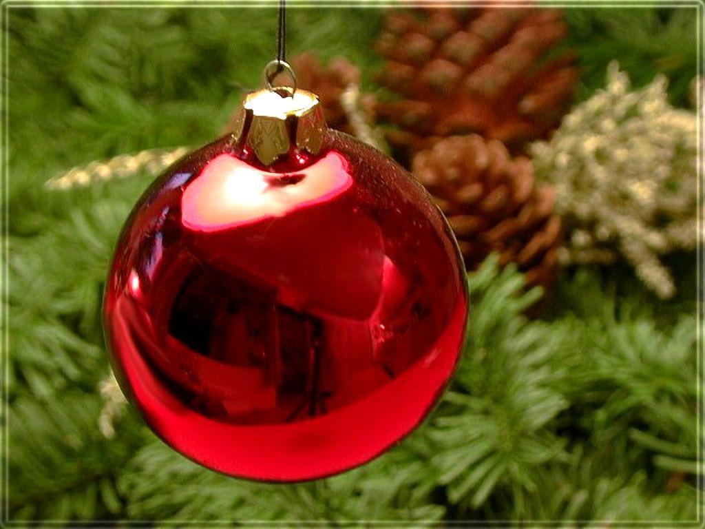 Vrouwenactiviteiten in december 2015