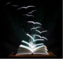 Allemansverhalen: Het oog van de naald