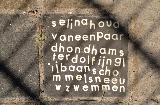 Cursus Je passies, dromen en ambities in beeld