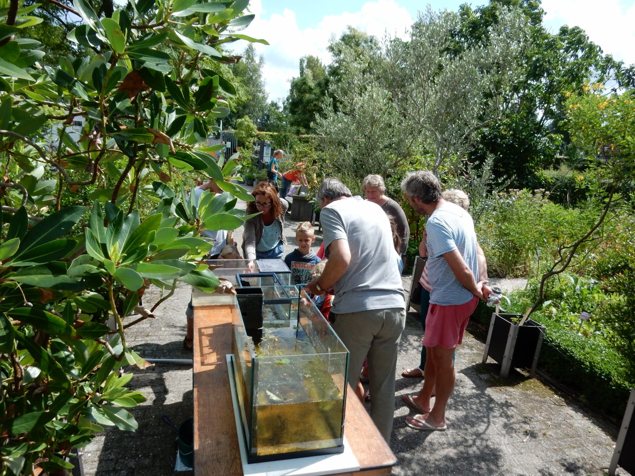 Beestjesweekend bij Hortus Alkmaar