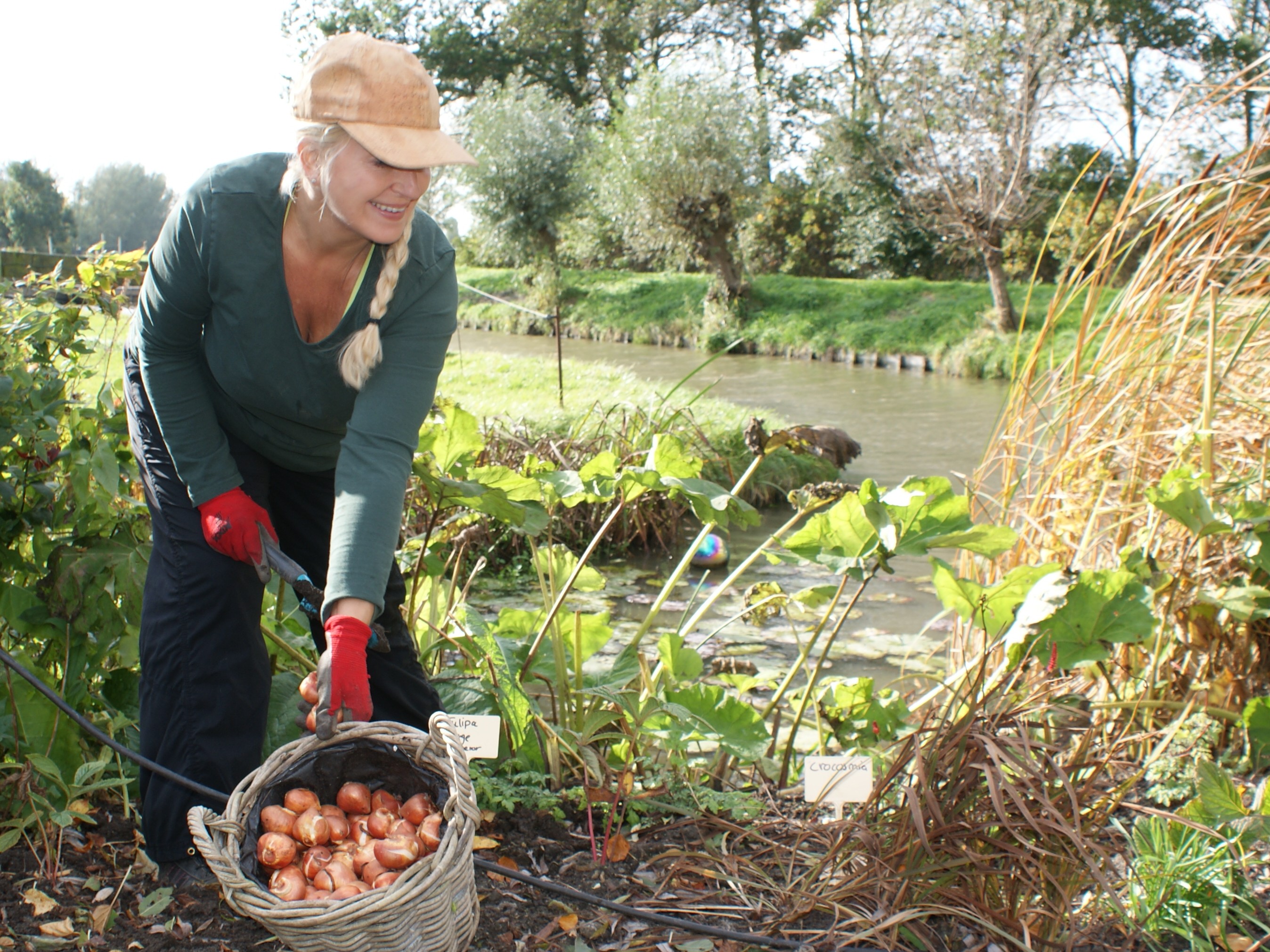 Bloembollenfeest in Heerhugowaard