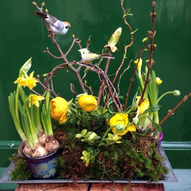 Paasworkshops bij Hortus Alkmaar