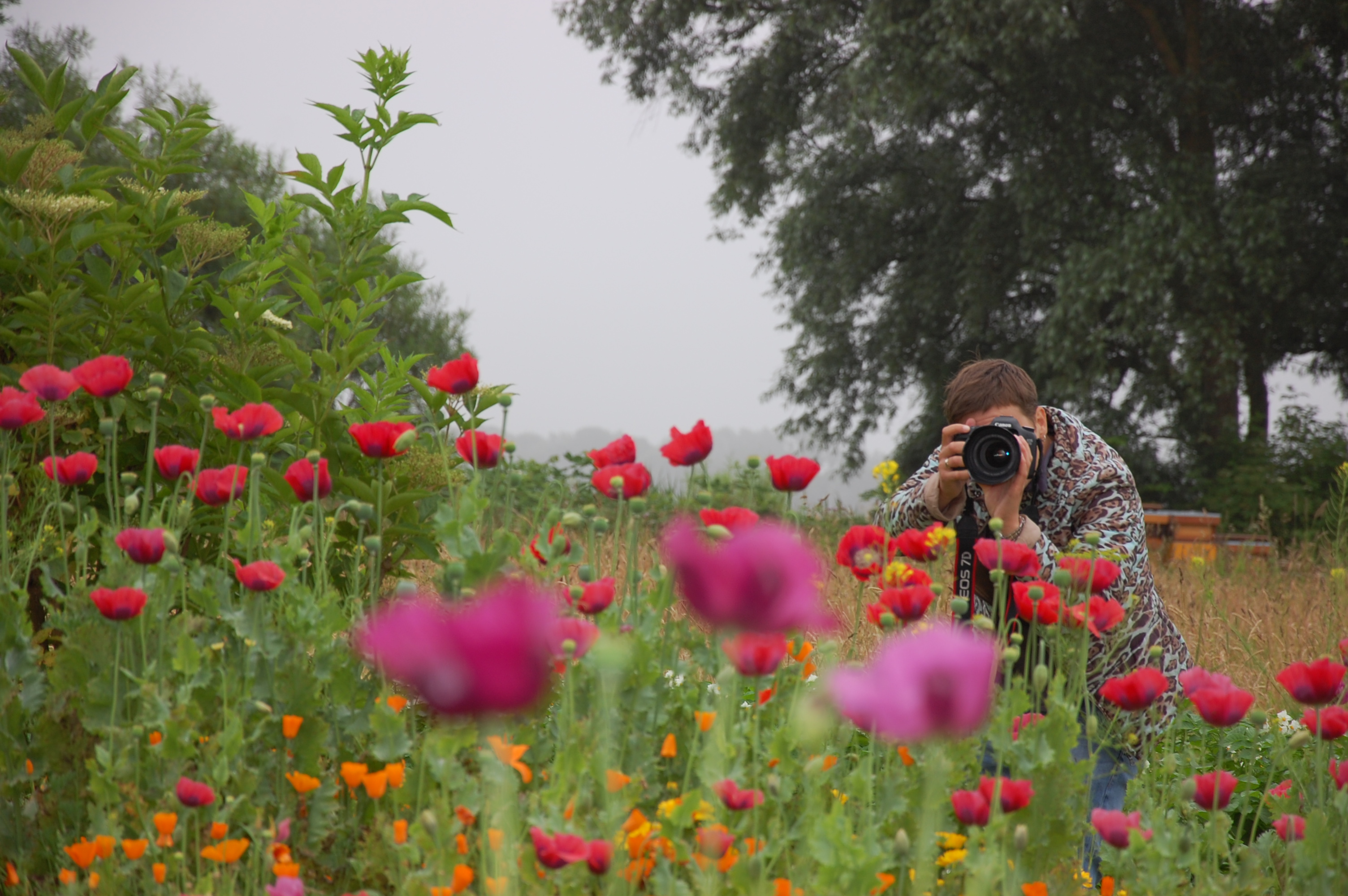 Cursus natuurfotografie bij Hortus Alkmaar