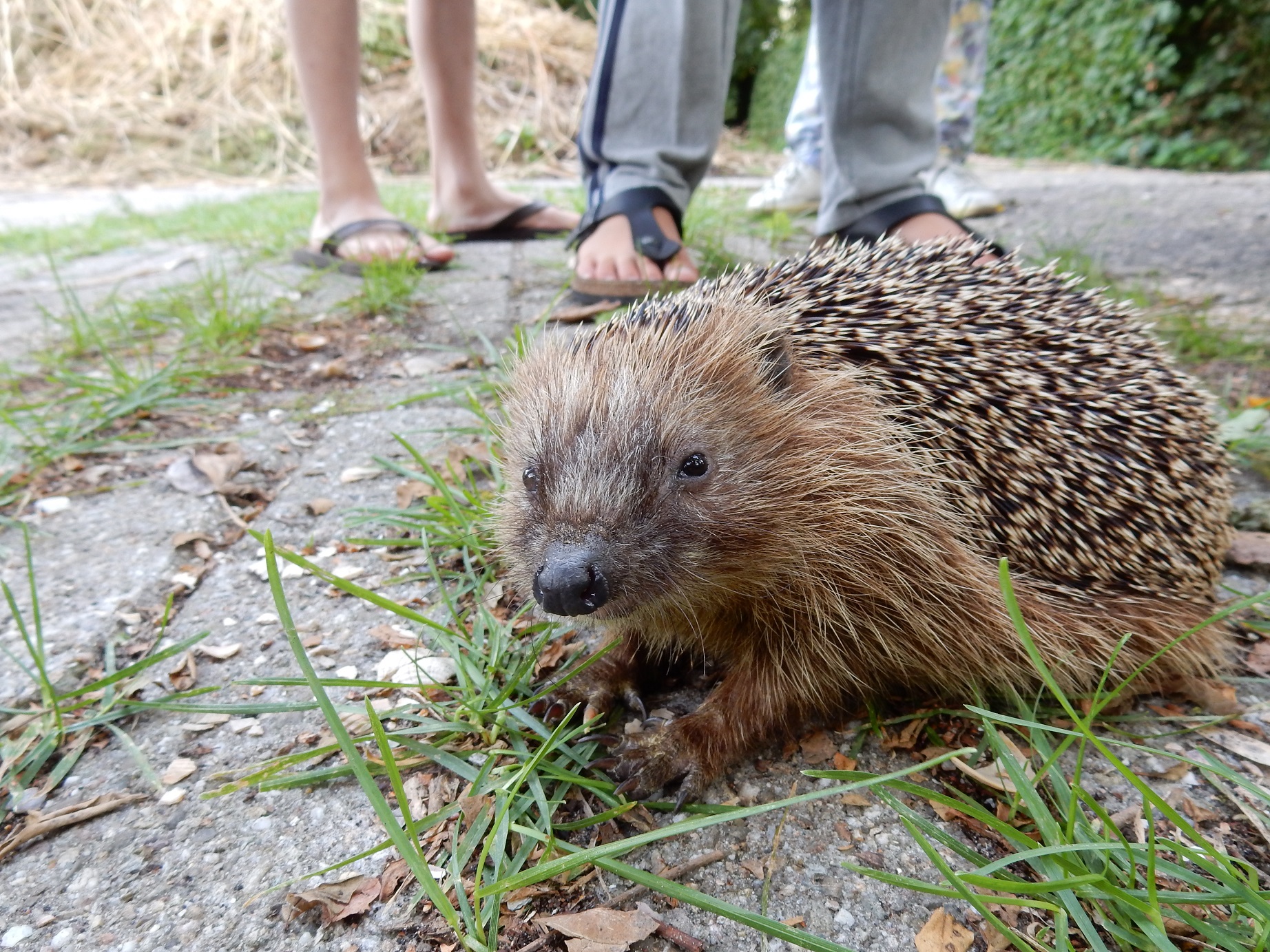 17 en 18 juni Lekker naar de Bioboer