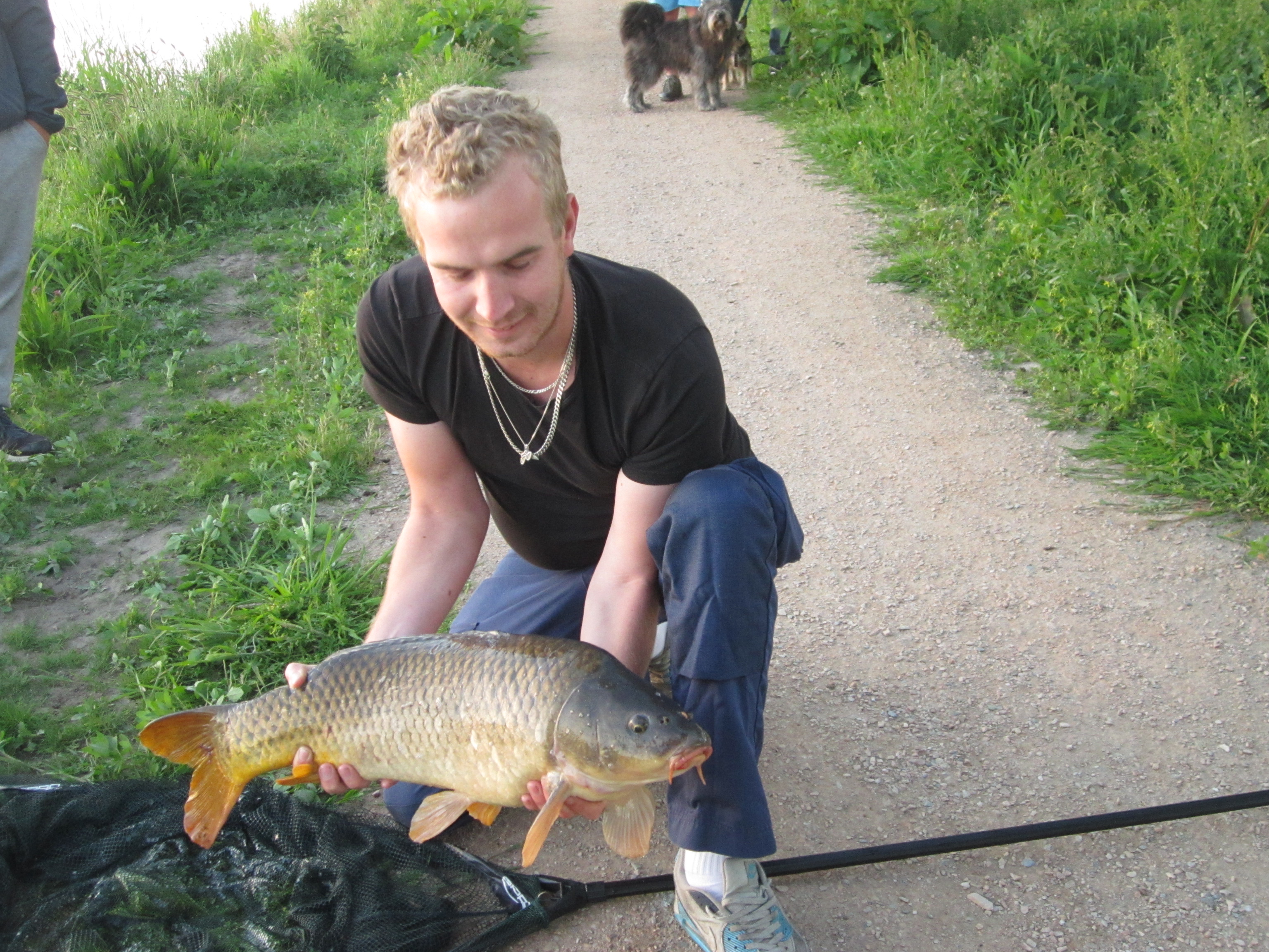 Grote karper uit het water